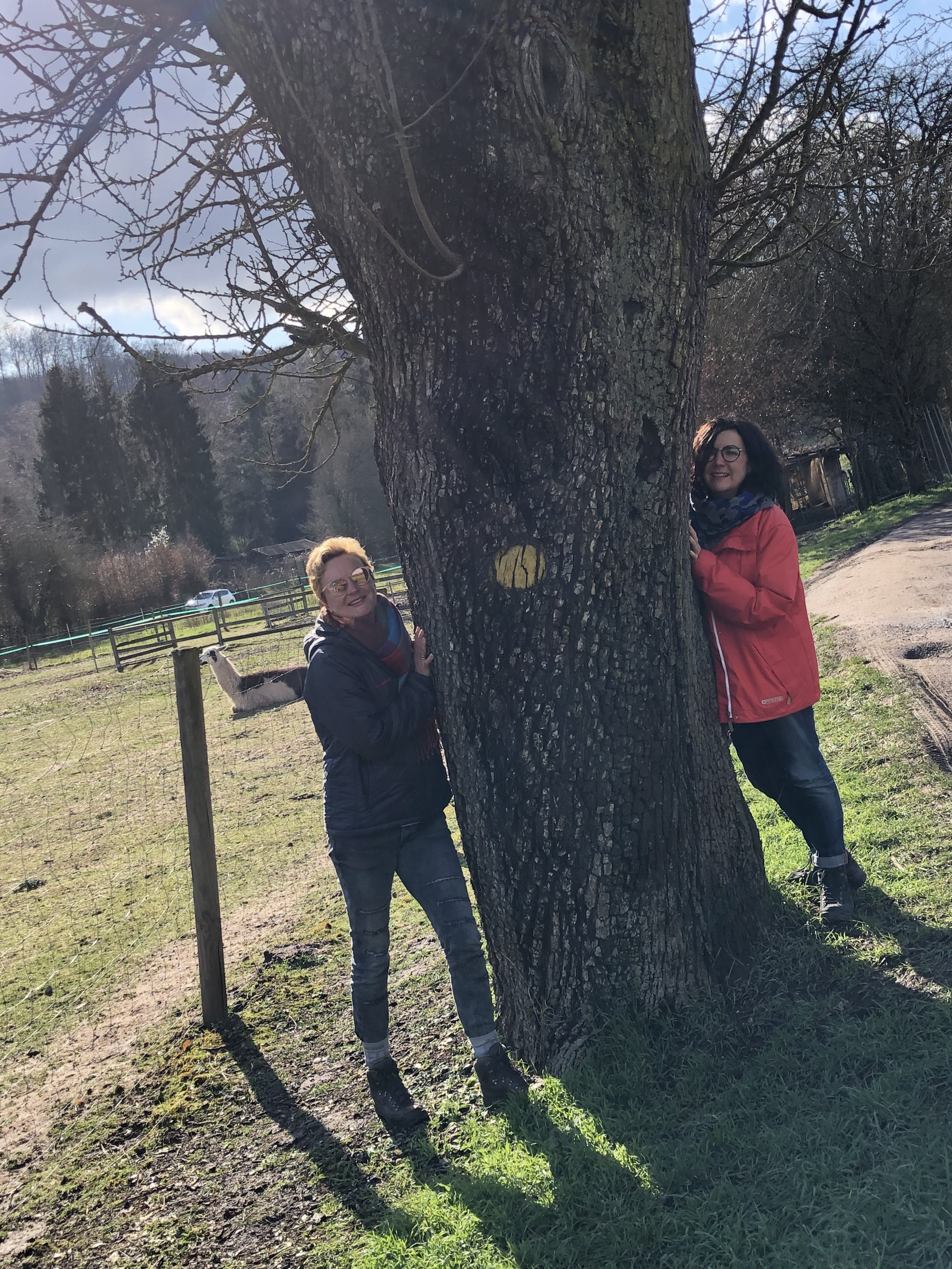 58DA89C7-4523-421D-BF1A-F221FB79FC17