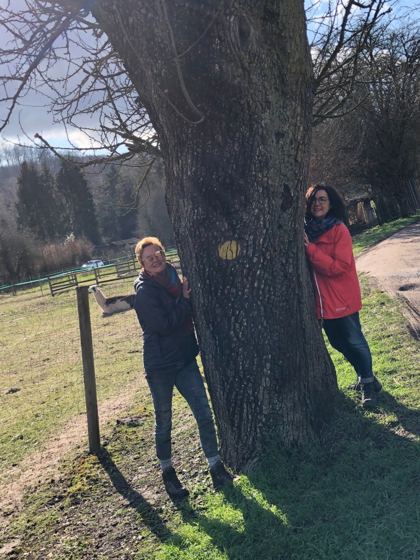 58DA89C7-4523-421D-BF1A-F221FB79FC17