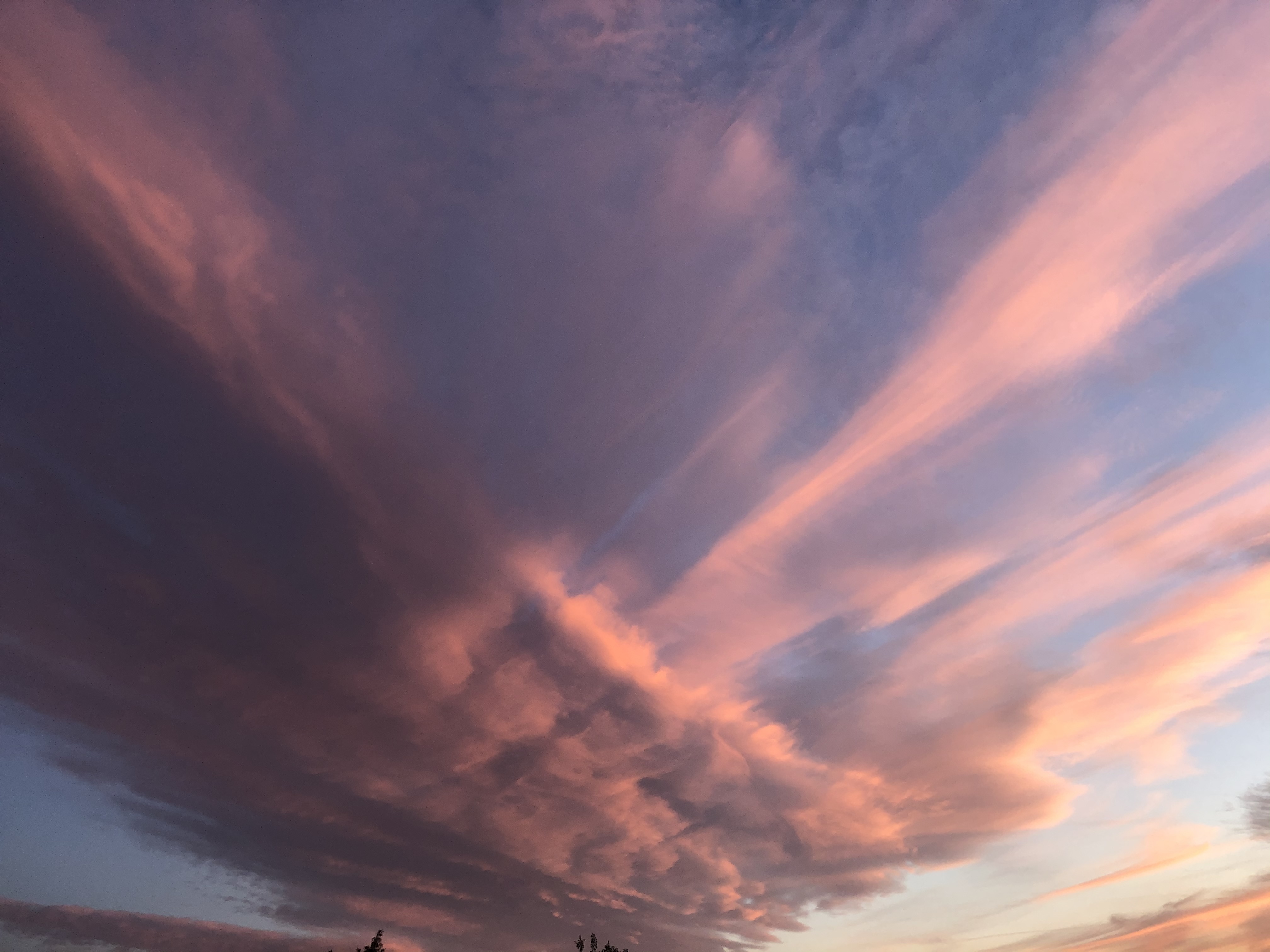 7C768BED-0BA0-4F24-900D-6DA2425B9001