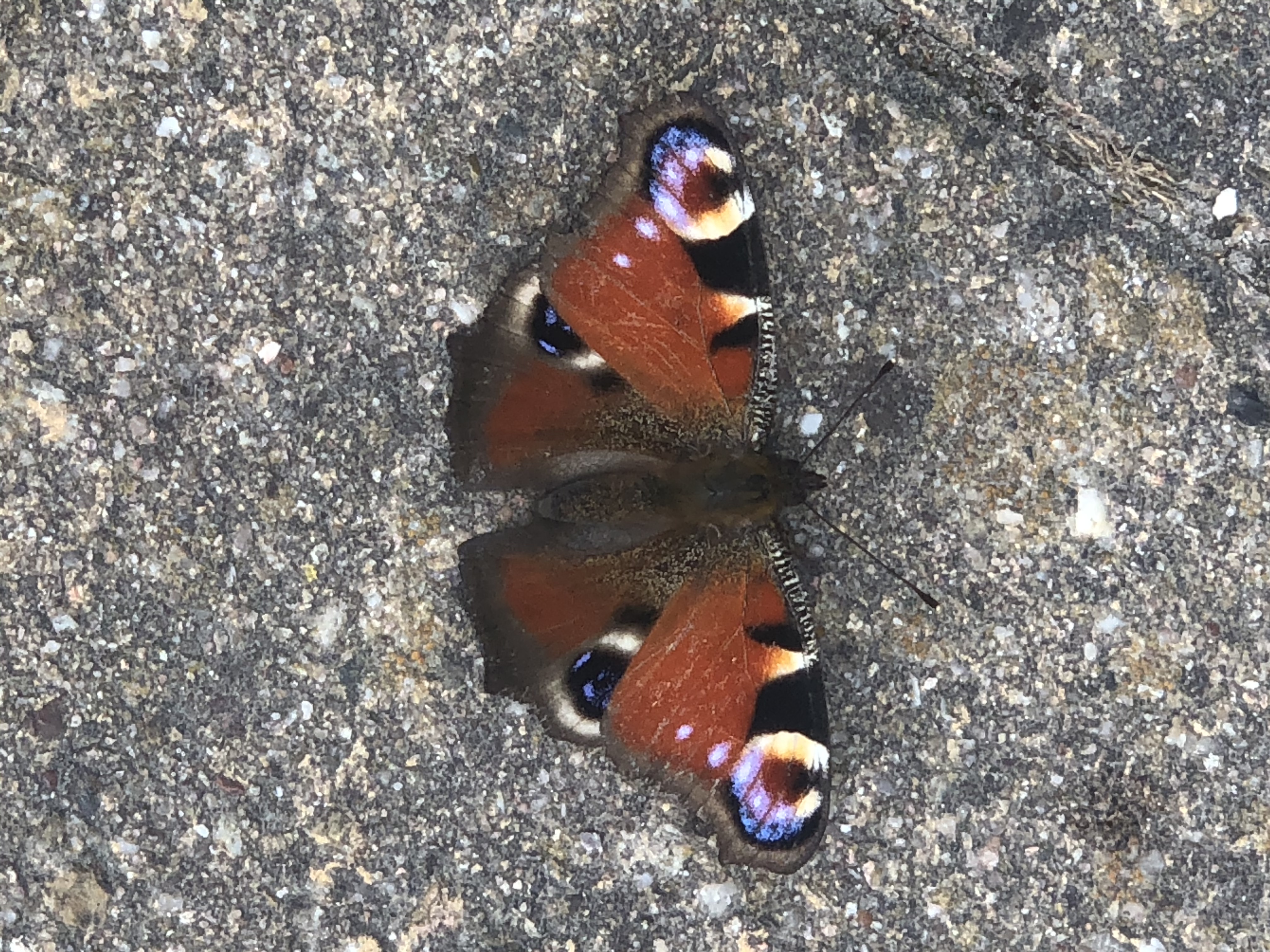 8493823C-D988-4A47-BBC6-3B7CDD579425