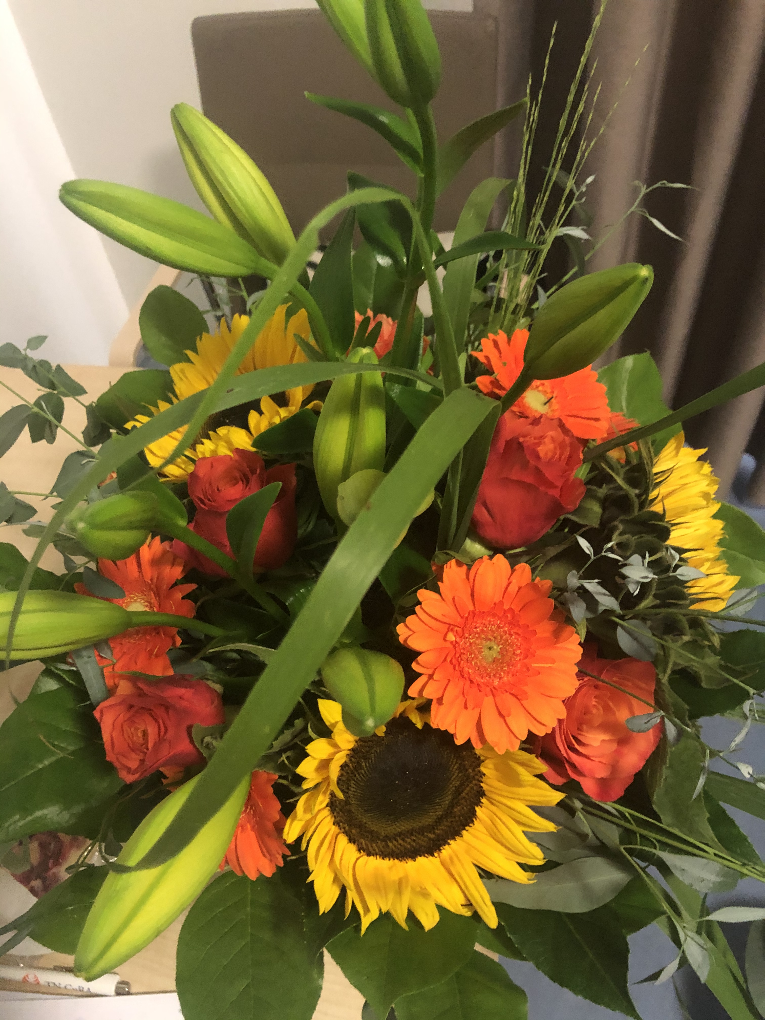 DA59119D-8175-4055-9869-3DFE910845A9